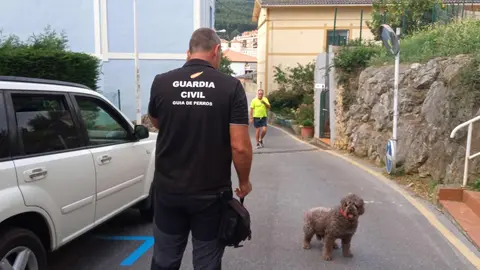 La Guardia Civil en el registro de la vivienda de la detenida en Castro Urdiales con el perro Marley. Archivo.  