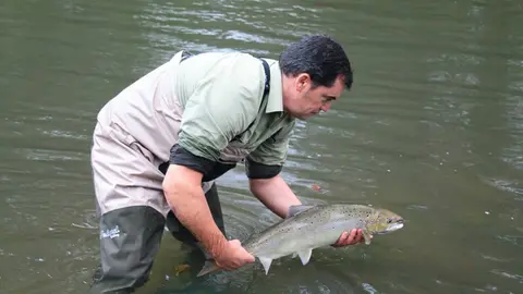 webmedio_rural_salmones