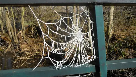 Fr&iacute;o, telara&ntilde;a congelada en Valderredible