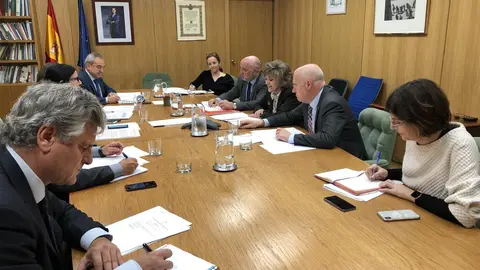 La ministra de Sanidad preside por videoconferencia un CISNS