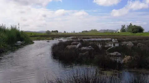 fotonoticia_20120615151540_640 (1)