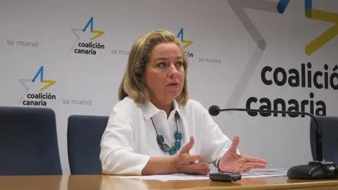 La diputada de Coalici&oacute;n Canaria, Ana Oramas, en rueda de prensa.