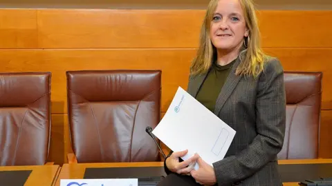 La diputada del PP en el Parlamento de Cantabria Isabel Urrutia