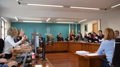 Pleno del Ayuntamiento de Pi&eacute;lagos