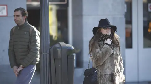 Una mujer pasea por Madrid muy abrigada para protegerse del fr&iacute;o ocasionado por el temporal.   