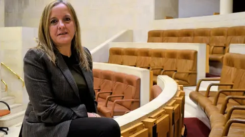 La diputada del PP en el Parlamento de Cantabria Isabel Urrutia