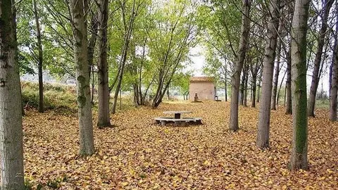 Chopo. Chopera. Oto&ntilde;o.