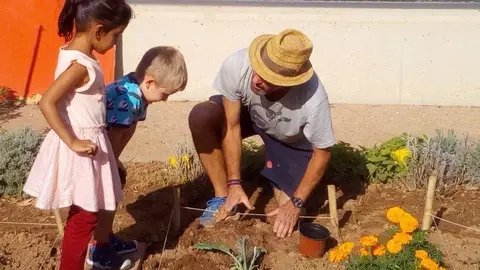 Huerto ecol&oacute;gico en el colegio de Benimaclet, en Valencia.