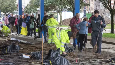 Entrega de &aacute;rboles a vecinos en Camargo