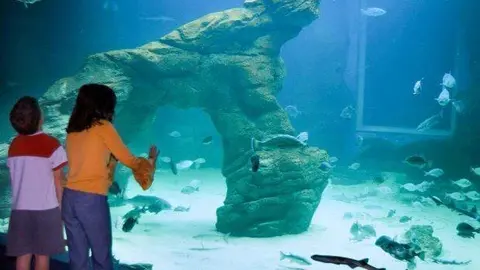 79940787_10158032586475663_6577813916439543808_n