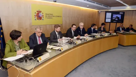 El secretario general de Industria y de la Pyme, Ra&uuml;l Blanco, en una reuni&oacute;n de la comisi&oacute;n sectorial de Industria y de la Pyme