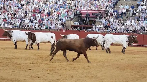 CBFACD61-994C-44DC-9588-C34F4BB65F0A