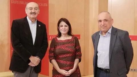 Jos&eacute; Mar&iacute;a Maz&oacute;n, del Partido Regionalista de Cantabria (PRC) con Adriana Lastra y Rafael Simancas, del PSOE