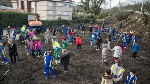 Plantaci&oacute;n de &aacute;rboles en Barreda
