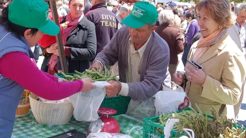 UPA califica 2019 como 'annus horribilis' para la agricultura y la ganader&iacute;a familiar en Espa&ntilde;a
