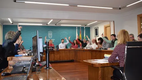 Pleno del Ayuntamiento de Pi&eacute;lagos