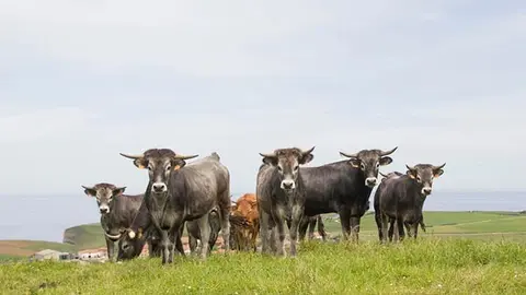 80657029_1011653699193624_470827577846530048_n