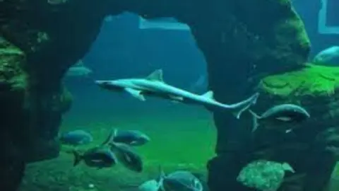 BBBA5C47-8DA5-443B-8574-DFD0973B0A44