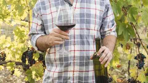 DO Vinos de Gran Canaria