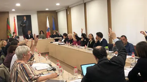 Pleno de Torrelavega 3 de enero de 2020