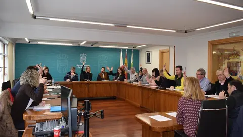 Pleno del Ayuntamiento de Pi&eacute;lagos de enero de 2020