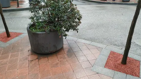 Alcorques con pavimento drenante