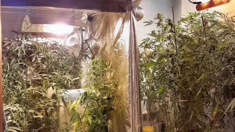 Nota Prensa 10 Enero Bis