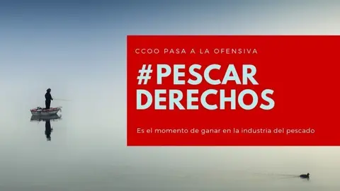 Campa&ntilde;a de CCOO sobre la anchoa