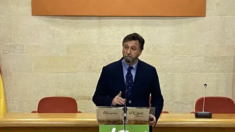 El portavoz parlamentario del Grupo Mixto (Vox), Crist&oacute;bal Palacio