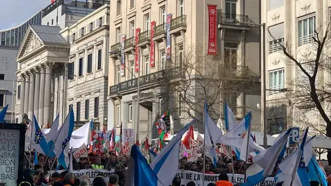 Manifestaci&oacute;n en Madrid de la industria electrointensiva