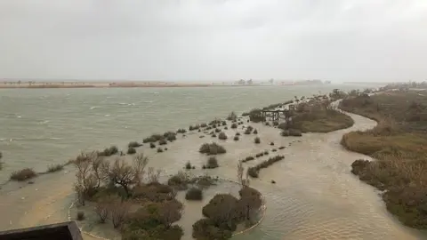 Inundaciones en la zona del delta del Ebro por la borrasca 'Gloria'.