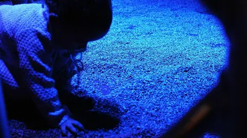 Jard&iacute;n secreto