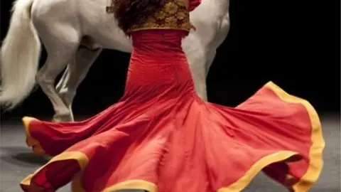 centro andaluz santander