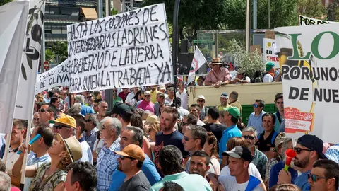 Concentraci&oacute;n convocada por COAG y UPA para exigir medidas contra los bajos precios del aceite de oliva. En la Plaza de las Batallas.