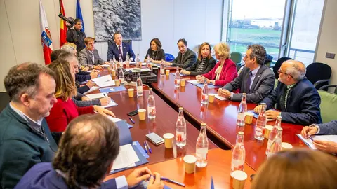 El Consejero De Desarrollo Rural, Guillermo Blanco, Y Los Consejeros De Sanidad, Miguel Rodr&iacute;guez, De Presidencia, Paula Fern&aacute;ndez, Y De Educaci&oacute;n, Marina Lomb&oacute;, Participan En La Comisi&oacute;n Especializada Sobre Cohesi&oacute;n Territorial Y Despoblamiento