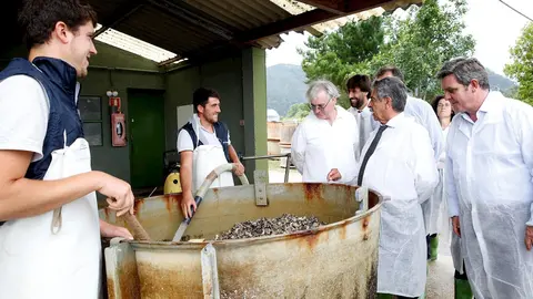 Planta de acuicultura en Tinamenor