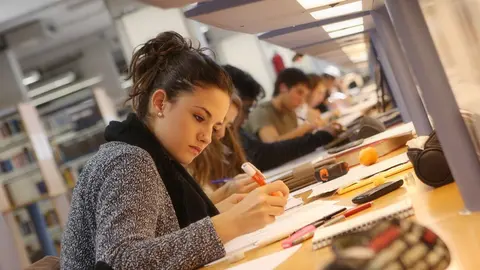 Estudiantes de la Universidad P&uacute;blica de Navarra, en una biblioteca del centro.