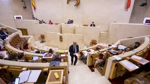 El portavoz de Ciudadanos (Cs) Cantabria en el Parlamento, F&eacute;lix &Aacute;lvarez, en el hemiciclo
