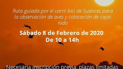 Cartel de la ruta ornitol&oacute;gica organizada por el Ayuntamiento de Suances