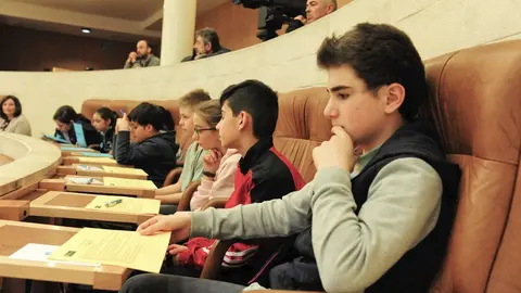 Pleno de Aldeas Infantiles