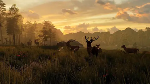 Ndp Y Fotos La Revista Forbes Elije &lsquo;Memoria: Historias De La Garma&rsquo;, Entre Las 50 Mejores Experiencias Del Mundo En Realidad Virtual