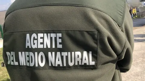 Agente del medio natural
