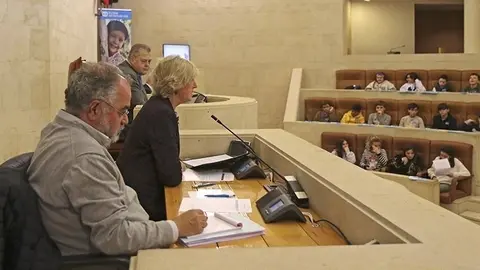La consejera en el pleno de Aldeas Infantiles