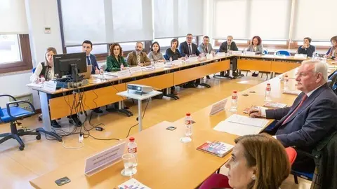 Ana Bel&eacute;n &Aacute;lvarez en el pleno del Consejo C&aacute;ntabro de Seguridad y Salud en el Trabajo
