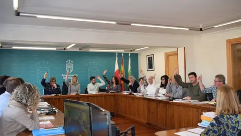 Pleno del Ayuntamiento de Pi&eacute;lagos