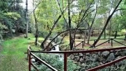 WhatsApp Image 2020-02-11 at 17.46.53