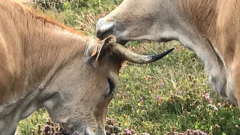 WhatsApp Image 2020-02-12 at 15.01.47