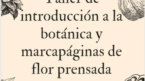 talleres bibliotecas pi&eacute;lagos