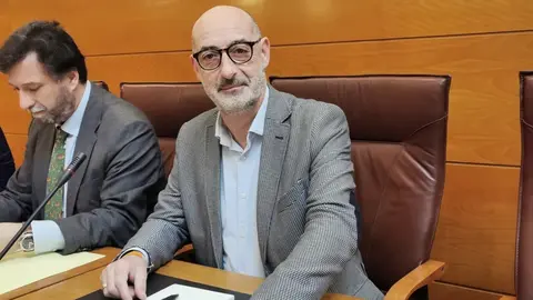 El portavoz parlamentario de Cs, F&eacute;lix &Aacute;lvarez