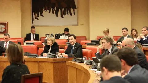 Pedro Casares en el Congreso